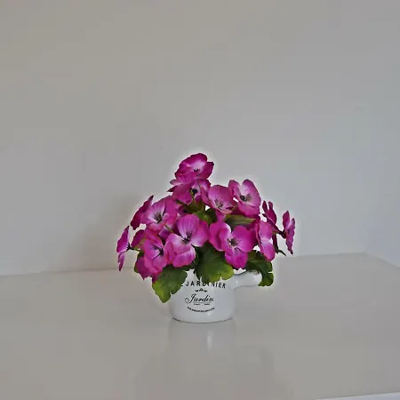 Apartment Katja Podstrana